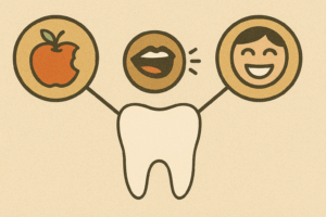 「食べる」「話す」「笑う」を支える――歯の大切なはたらき